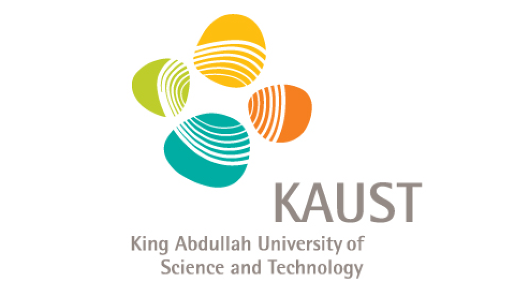 KAUST Physical Science and Engineering Division