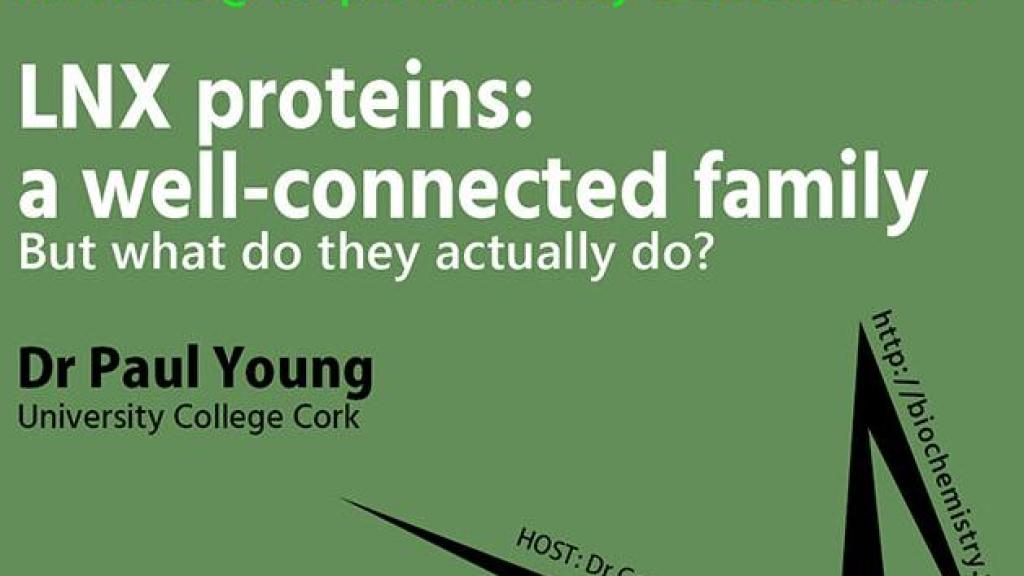 LNX proteins: a well-connected family. But what do they actually do?